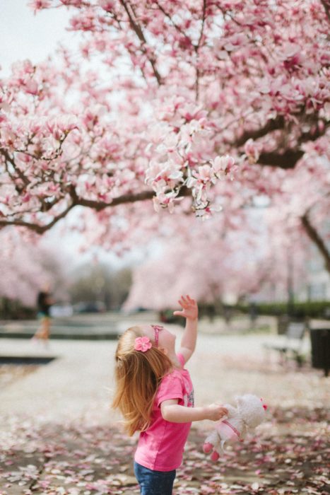 Enfant regardant un arbre lors d'une sortie plein air