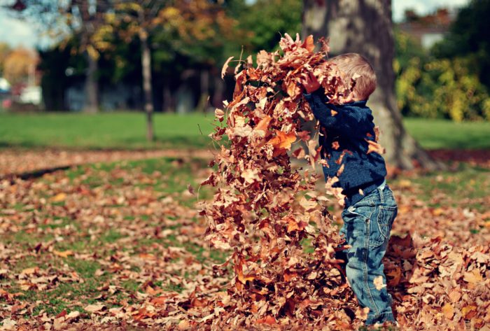 enfant jouant avec des feuilles séchées en promenade